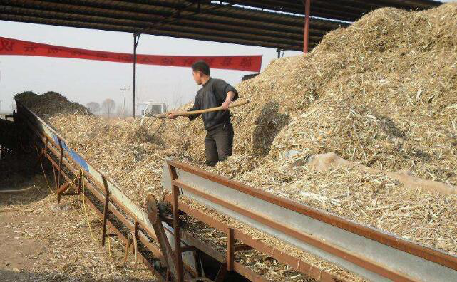 秸稈顆粒機(jī)生產(chǎn)線粉碎階段 秸稈顆粒機(jī)生產(chǎn)線粉碎階段