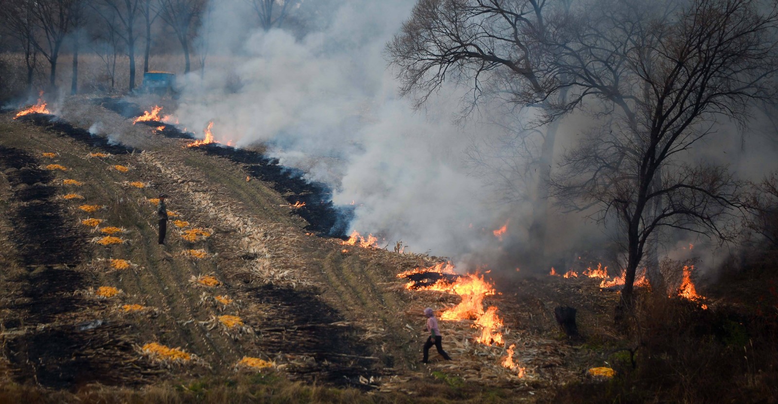 秸稈焚燒造成濃煙漫天 秸稈焚燒造成濃煙漫天