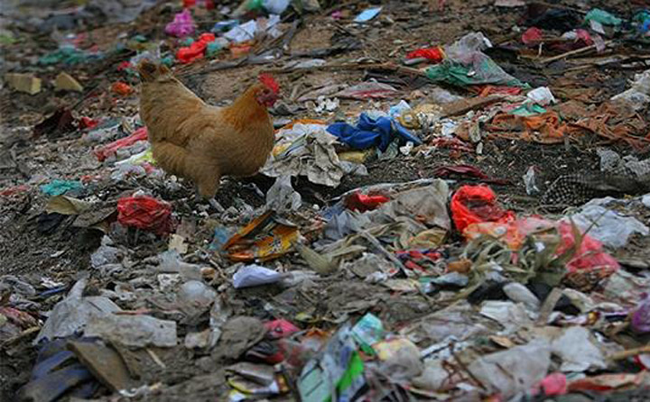 農(nóng)村垃圾無序堆放 農(nóng)村垃圾無序堆放