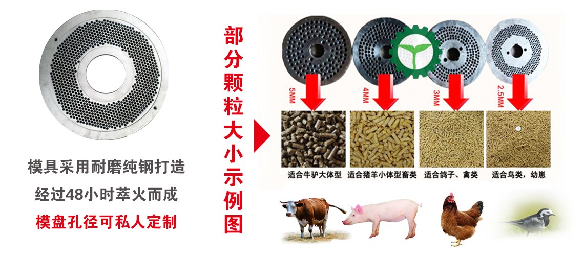 細節(jié)2.jpg 細節(jié)2.jpg