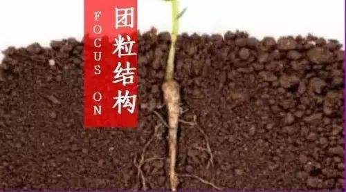 土壤團粒結(jié)構(gòu) 土壤團粒結(jié)構(gòu)