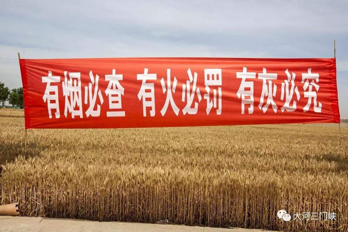 國家禁燒宣傳標語 國家禁燒宣傳標語