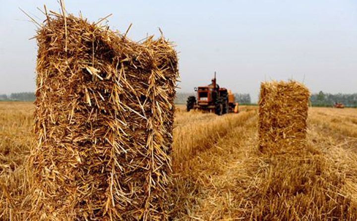 南陽秸稈顆粒機(jī)原料.jpg 南陽秸稈顆粒機(jī)原料.jpg