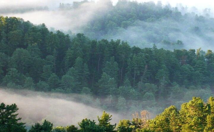 林產工業.jpg 林產工業.jpg