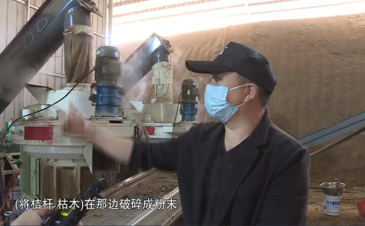 將桔桿、枯木在那邊破碎成粉末,然后經過這兩個造粒機的碾壓,形成這種顆粒燃料出來,形成最后的產品.jpg 將桔桿、枯木在那邊破碎成粉末,然后經過這兩個造粒機的碾壓,形成這種顆粒燃料出來,形成最后的產品.jpg