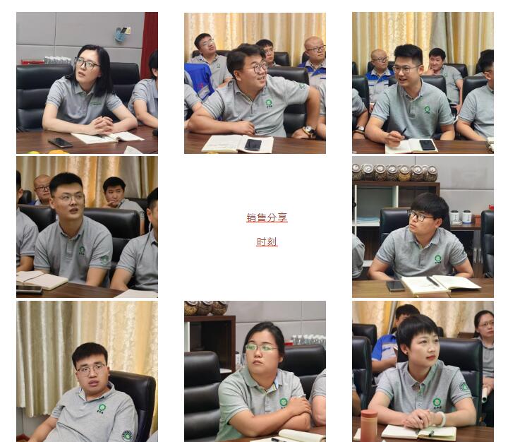 銷售精英們結合自己特點進行工作匯報。.jpg 銷售精英們結合自己特點進行工作匯報。.jpg